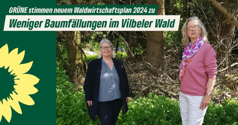 Weniger Baumfällungen im Vilbeler Wald als geplant – GRÜNE stimmen für angepassten Waldwirtschaftsplan 2024