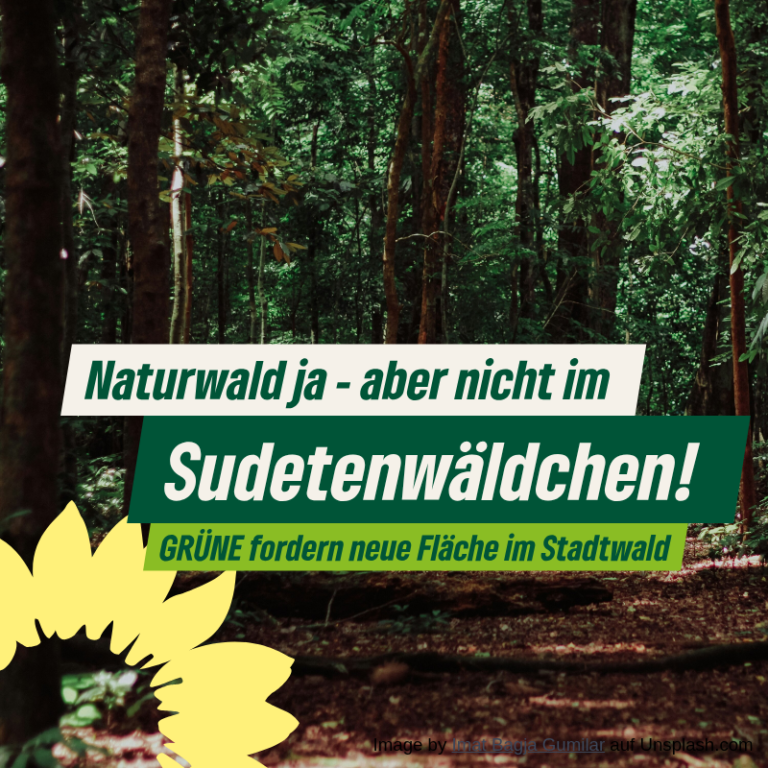 Heilsberger Sudetenwäldchen soll aus der Waldfläche für die natürliche Waldentwicklung genommen werden